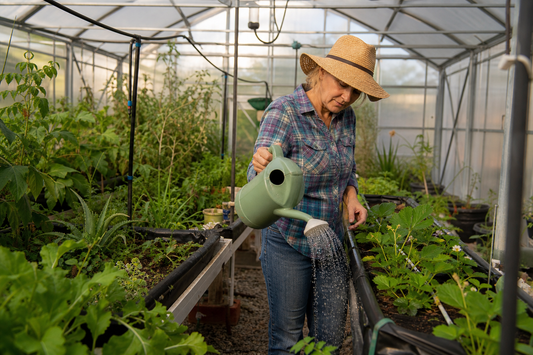 Water Conservation Tips for Texas Greenhouse Gardeners