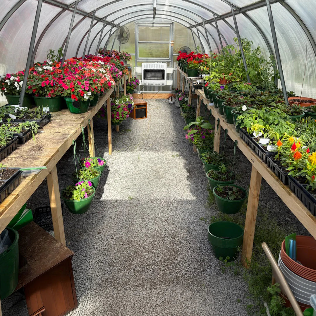World’s Most Popular Polycarbonate Greenhouse
