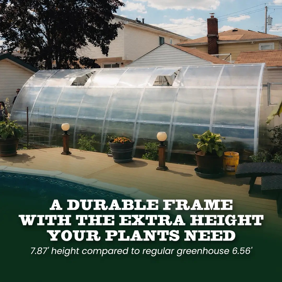 Classic Arch Polycarbonate Greenhouse