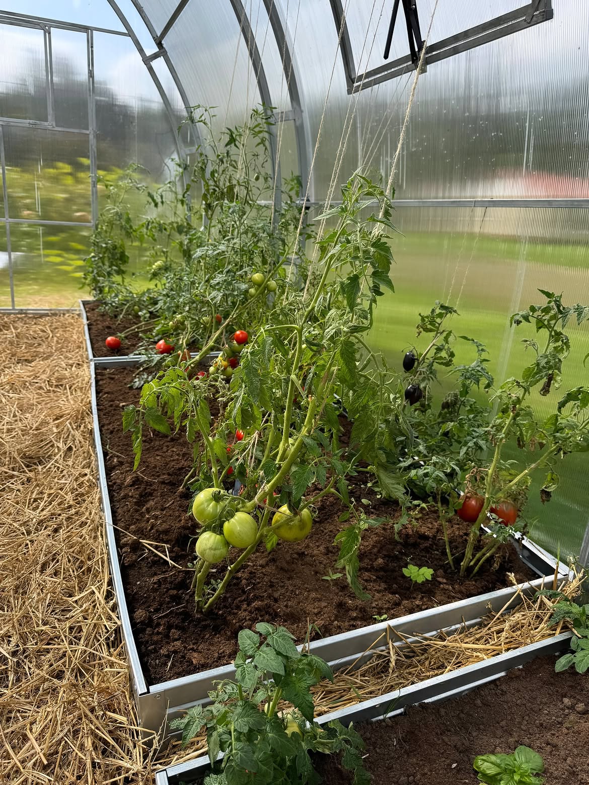 World’s Most Popular Polycarbonate Greenhouse