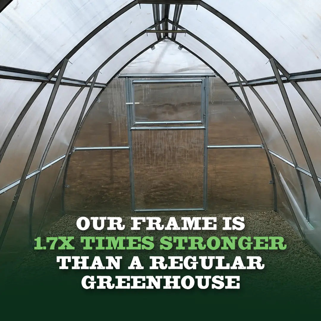 Classic Arch Polycarbonate Greenhouse