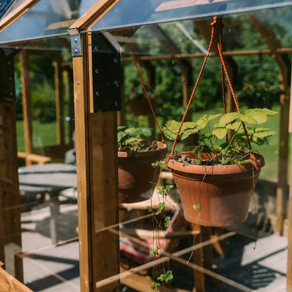 Nordwood Greenhouse Natural