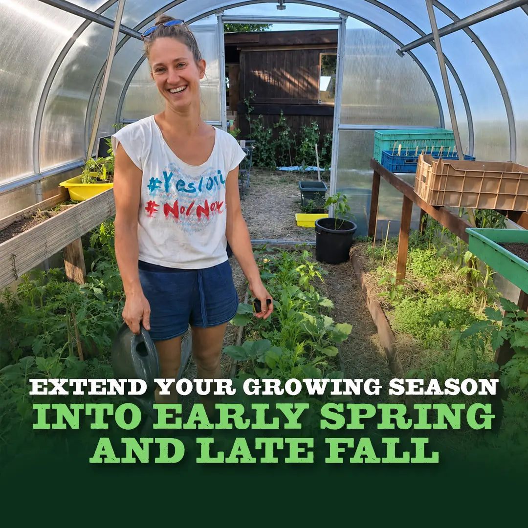 World’s Most Popular Polycarbonate Greenhouse